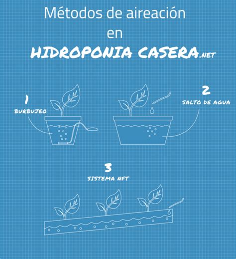 Los 3 métodos de aireación en hidroponía casera PortalFruticola