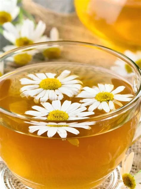 Health Benefits Of Drinking Chamomile Tea Daily Times Of India