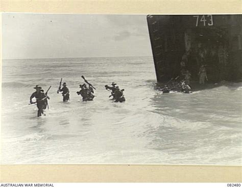 Unity Point North Of Trinity Beach Qld Troops Of