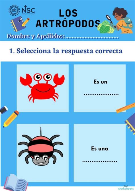 Actividad De Clase Ficha Interactiva Topworksheets