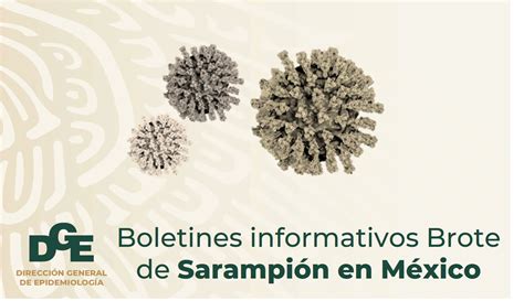 Boletines Informativos Situación Del Brote De Sarampión En México