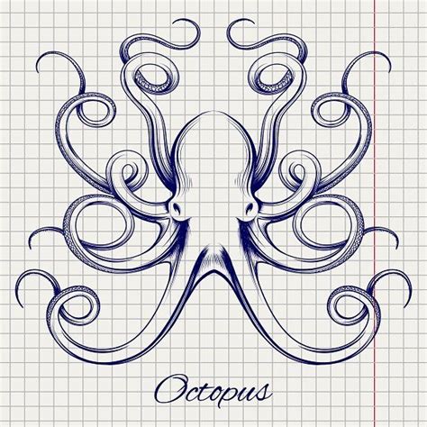 Hand drawn pen sketch octopus by vectortatu on @creativemarket | How to draw hands, Pen sketch ...