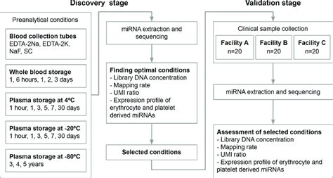 Schematic Flow Of The Discovery And Validation Of The Optimal