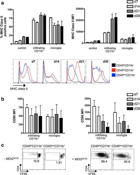 Mhc Class Ii Expression And Exogenous Myelin Antigen Presentation By