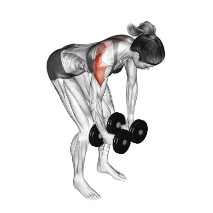 dumbbell rear delt exercises  build mass  strength
