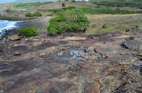 1. Thick-bedded lithic sandstone at sample site: Hodgkinson ...