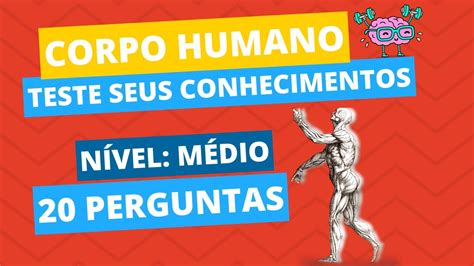 20 Perguntas Sobre O Corpo Humano Com Respostas - Perguntas Sobre O Corpo Humano Com Respostas - FDPLEARN