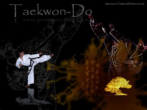 Taekwondo Wallpapers Wallpapersafari