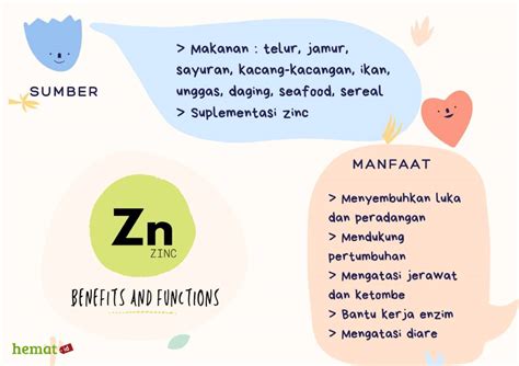 Fungsi Zinc Bagi Tubuh Ujian