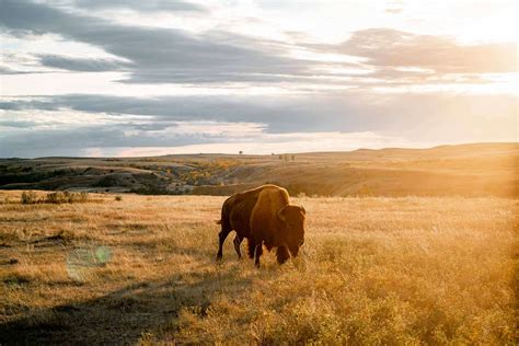 Theodore Roosevelt National Park is Insanely Beautiful (Photos + Video)