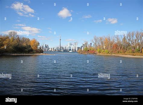 Toronto Skyline In Autumn Stock Photo Alamy