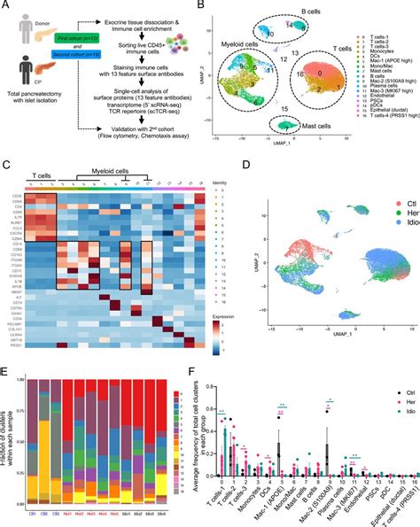 Single Cell Sequencing Unveils Distinct Immune Microenvironments With