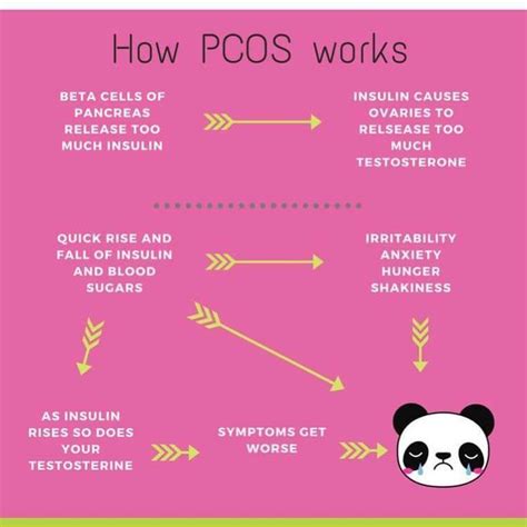 Physiology of how PCOS works #pcos #phsiology #insulinresistance # ...