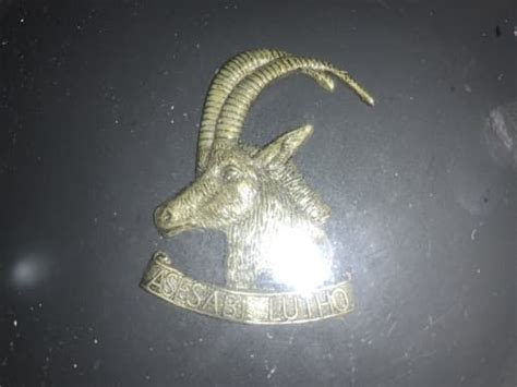 Other War Memorabilia Rhodesian Armoured Corps The Black Devils Was