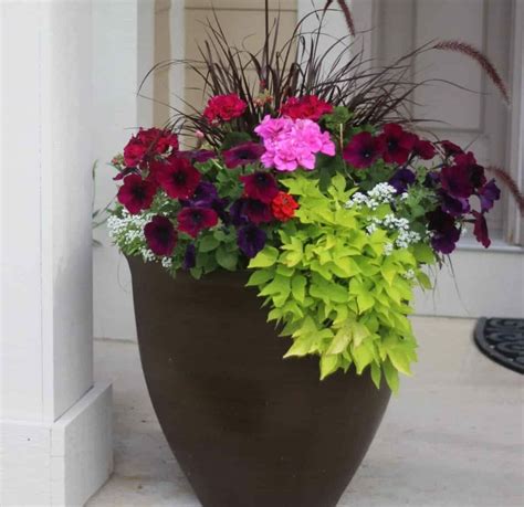 How To Plant Flower Pots Momcrieff