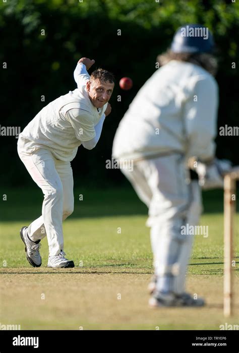 Cricket, bowler in action Stock Photo - Alamy