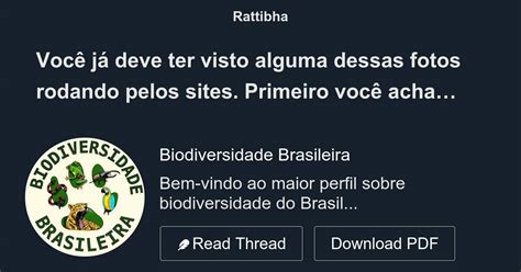 Você já deve ter visto alguma dessas fotos rodando pelos sites