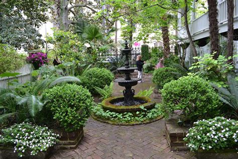 Savannah Botanical Gardens: Everything You Need To Know