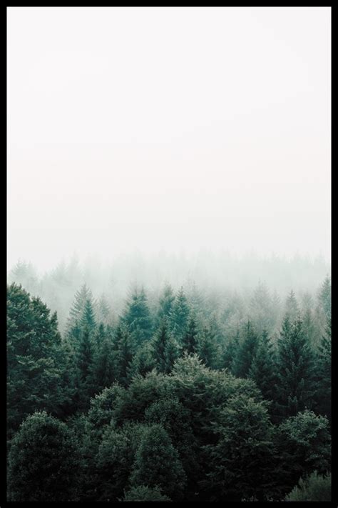 Bestsellers - самые популярные и продаваемые постеры на Postermarkt