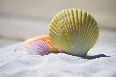 Sol e Mar 5 benefícios de quem mora na praia Encontre Tudo Litoral