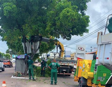 Prefeitura Realiza Poda De Rvores Na Avenida Camilo De Holanda Que