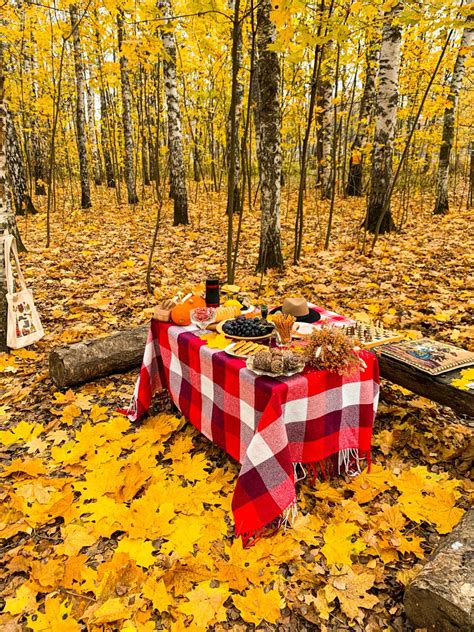 Autumn cosy picnic | Осенние картинки, Осень, Пикник