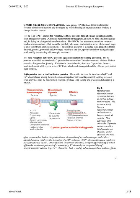 SOLUTION: Lecture 15 metabotropic receptors - Studypool