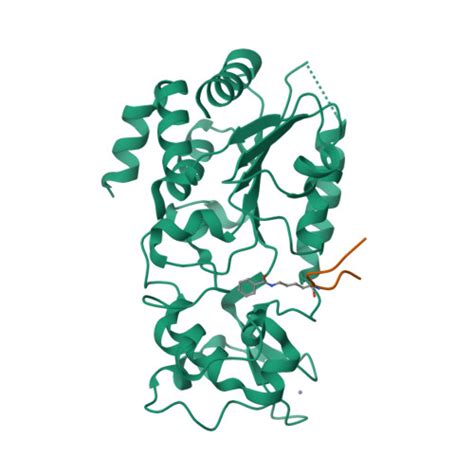 Rcsb Pdb F E Crystal Structure Of Hst In Complex With H K Bz Peptide