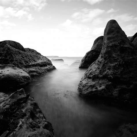 black withe picture royalty  images stock  pictures