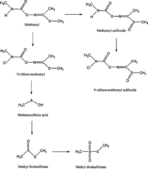 Proposed reaction mechanism for methomyl under chlorinated water ...