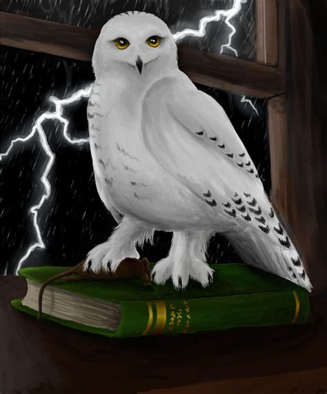 Hedwig By Pandora Gold On Deviantart