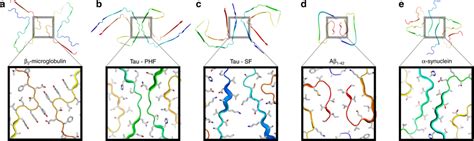 Inter Protofilament Interactions In Cryo Em Structures Of Amyloid