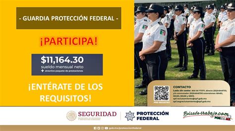 Convocatoria Guardia Protección Federal En Los Mochis Sinaloa 2024