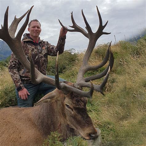 Big Game Hunting Queenstown – Reel Hunting NZ