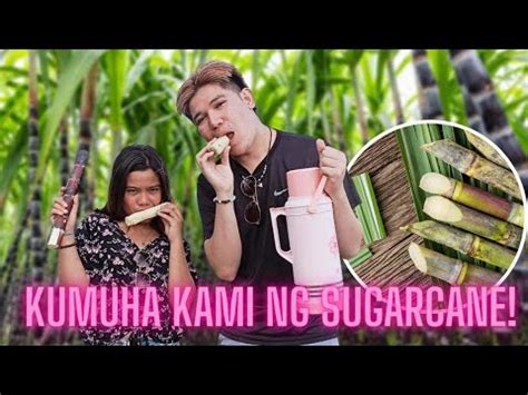 Nanguha Kami Ng Sugarcane Sersam Janartserna Japetburikat