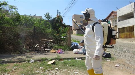 Ações São Intensificadas Para Evitar Epidemia De Dengue Em Divinópolis