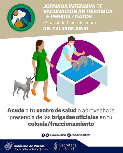 Jornada intensiva de vacunación antirrábica de perros y gatos