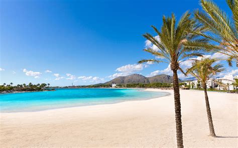 Playa De Alc Dia Mallorca Balearic Islands World Beach Guide