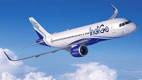 India S Indigo To Commence Daily Flight To Jaffna Newswire