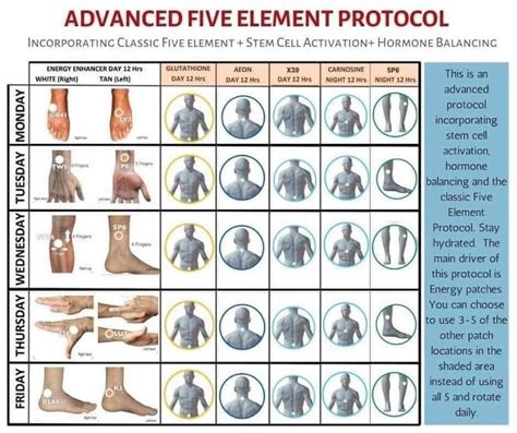 Pin By Sigrun Engelen On Lifewave Patch Protocols In Body