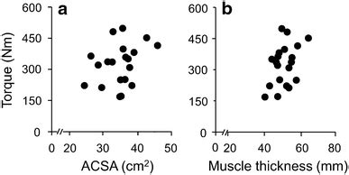 Relationships Between The Maximal Torque During Hip Extension Task And