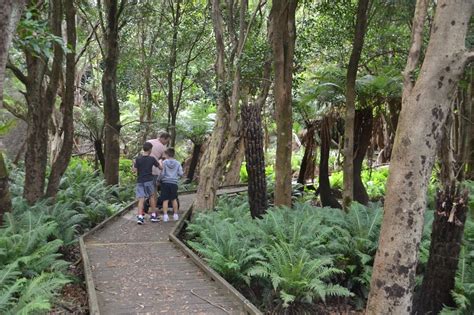 Lilly Pilly Nature Walk Wilsons Promontory Mums Little Explorers