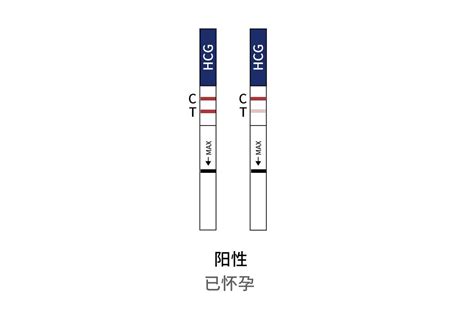 真实的怀孕阳性试纸图片39健康网精编内容