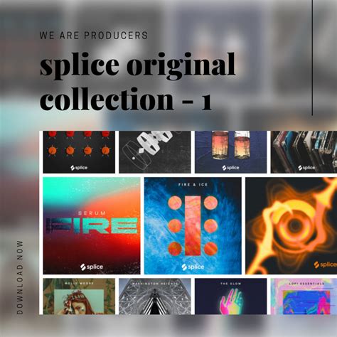 We Are Producers Splice Original Collection Splice Original