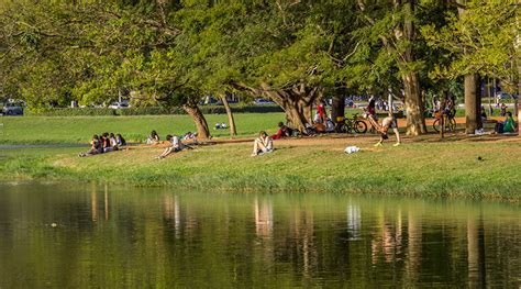 O que fazer no Parque Ibirapuera 7 atrações