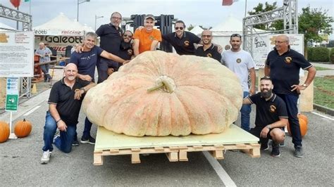 Zucca Da Guinness Dei Primati In Italia Pesa 1 226 Kg Dissapore