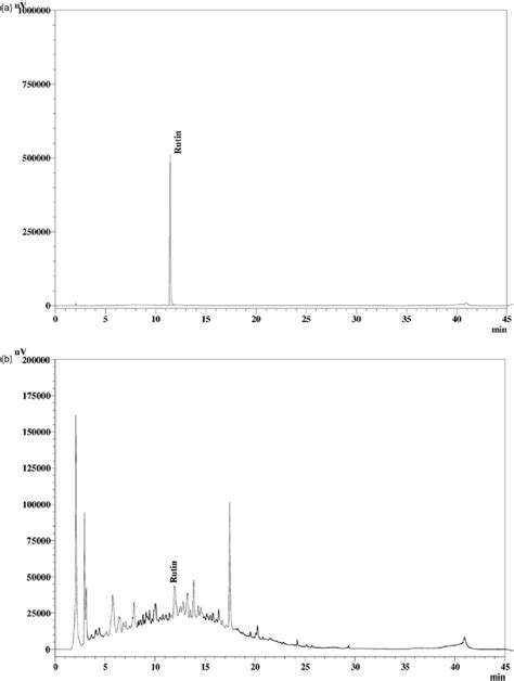 A Hplc Chromatogram Of Reference Standard Rutin Retention Time Download Scientific Diagram