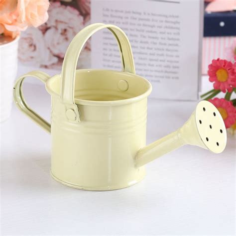 Watering Can For Indoor Plants Small Watering Cans For House Plant