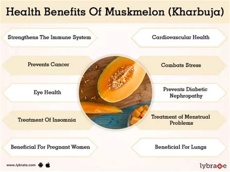 Musk Melon Health Benefits And Nutrition Facts Fruits Facts In