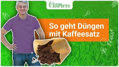 Kaffeesatz Als D Nger Ideal F R Gartenpflanzen Youtube